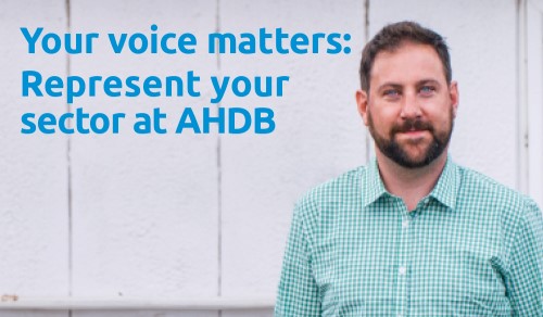 Your voice matters - represent your sector at AHDB.